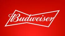 Anheuser-Busch - Budweiser (12 pack cans) (12 pack cans)